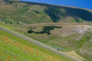 Castelluccio di Norcia und seine blühende Natur foto