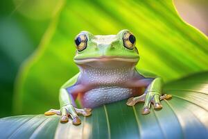 Frosch auf Blatt. Nahansicht von ein Baum Frosch. ai generativ foto