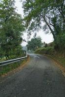 Straße mit grüner Vegetation im Wald, Bilboa Spanien foto