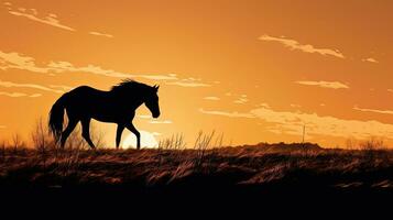 Pferd Silhouette inmitten Sonnenuntergang während Weiden lassen foto