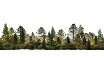 hoch Definition Aussicht von Bäume und Sträucher im ein Sommer- Wald isoliert auf Weiß. Silhouette Konzept foto
