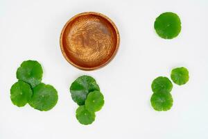 oben Aussicht Glas Becherglas enthält Wasser und Centella asiatica dekoriert mit erlenmeyer Flasche und runden Podium foto