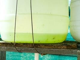 Grün Wasser blüht im das Sonne. klein Grün Mikroorganismen multiplizieren schnell im das Sonne im ein Container von Wasser. foto