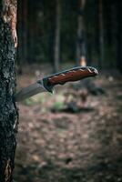 Taktisches Messer zum Überleben und zum Schutz unter schwierigen Bedingungen, die im Wald im Stammbaum stecken. foto