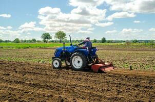 Cherson Oblast, Ukraine - - kann 28, 2020 ein Farmer ist kultivieren ein Feld Vor Wiederbepflanzung Sämlinge. Mahlen Boden, Quetschen und Lockerung Boden Vor Schneiden Reihen. Landwirtschaft und Landwirtschaft foto