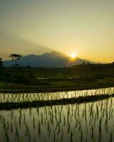 schöne Morgenansicht Indonesien Panoramalandschaft Reisfelder mit Schönheitsfarbe und natürlichem Himmelslicht foto