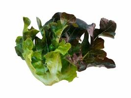 Salat Blatt. Grüner Salat auf Weiß Hintergrund foto
