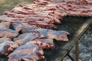 traditionell Fleisch gegrillt auf das Grill im das Argentinien Landschaft foto