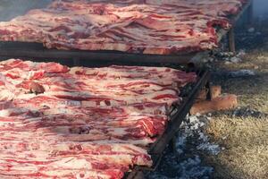 traditionell Fleisch gegrillt auf das Grill im das Argentinien Landschaft foto