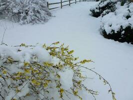 Winter Schnee durch Zaun foto