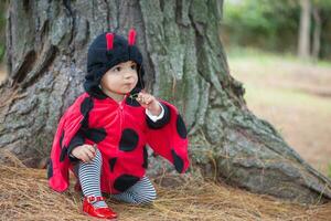 wenig Baby Mädchen tragen ein Marienkäfer Kostüm. Halloween Konzept. foto