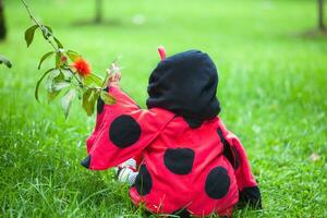 wenig Baby Mädchen tragen ein Marienkäfer Kostüm. Halloween Konzept foto