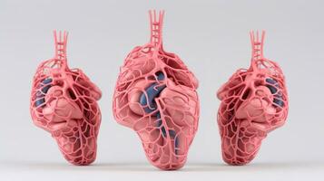 3d Illustration Attrappe, Lehrmodell, Simulation von das Mensch Organ System, Anatomie, nervös, Kreislauf, Verdauungs, Ausscheidung, Harn und Knochen Systeme. medizinisch Bildung Konzept, generativ ai Illustration foto