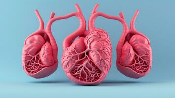 3d Illustration Attrappe, Lehrmodell, Simulation von das Mensch Organ System, Anatomie, nervös, Kreislauf, Verdauungs, Ausscheidung, Harn und Knochen Systeme. medizinisch Bildung Konzept, generativ ai Illustration foto