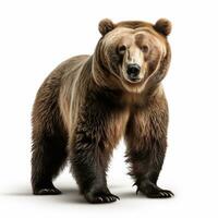 schön wild Tier Bär suchen nach vorne ist gezeigt im voll Länge, ai generiert foto