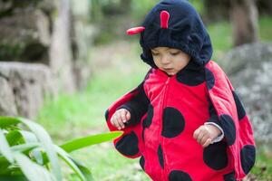 wenig Baby Mädchen tragen ein Marienkäfer Kostüm. Halloween Konzept. foto