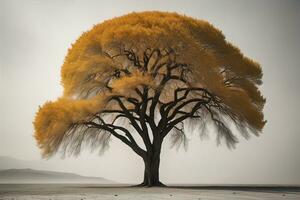 Fantasie Silhouette von ein Baum im das Wüste. ai generativ foto