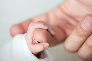 Nahansicht von ein Neugeborene Hand und ihr Vater Finger beim Krankenhaus auf das Tag von ihr Geburt. Vaterschaft Konzept foto