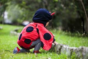 wenig Baby Mädchen tragen ein Marienkäfer Kostüm. Halloween Konzept foto