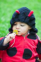 wenig Baby Mädchen tragen ein Marienkäfer Kostüm. Halloween Konzept foto