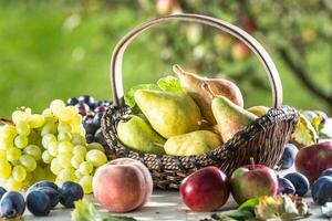 reif Birnen im ein hölzern Korb auf ein hölzern Garten Tabelle umgeben mit andere frisch Früchte. foto