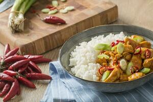 Hähnchen Curry Reis Chili und jung Zwiebel im Schüssel foto