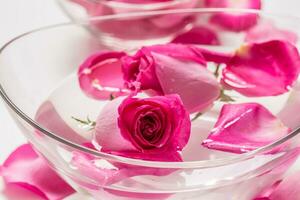 Rosa Rosen und Blütenblätter im Schüssel mit rein Wasser. Spa und Wellness Konzept foto