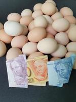 Investition in Bio-Ei mit brasilianischem Geld für gesunde Ernährung foto