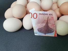 Investition in Bio-Ei mit norwegischem Geld für gesunde Ernährung foto