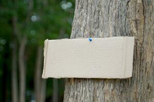 Kiste Papier Zeichen auf das Baum zum Schreiben Umwelt Kampagne Mitteilungen und Wald Erhaltung, zum Beispiel, tun nicht Schnitt Bäume, Pflanze Erhaltung Bereiche, Liebe das Welt, Liebe Bäume, usw. foto