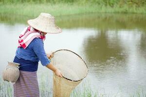 asiatisch Frau Farmer trägt Hut und traditionell Kostüm hält traditionell Ausrüstung zum fangen Fisch zum Lebensmittel. Konzept , verdienen Leben von Natur. lokal Lebensstil im Thailand. Landschaft Leben Leben foto