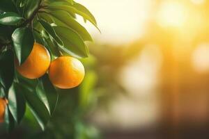 Orange Baum im das Ecke im Über verschwommen Hintergrund mit Kopieren Raum zum Text ai generiert foto