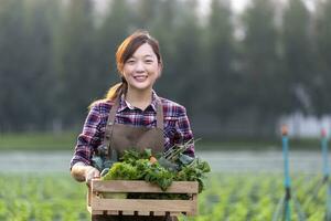 asiatisch Frau Farmer ist Tragen hölzern Tablett voll von frisch wählen Bio Gemüse im ihr Garten zum Ernte Jahreszeit und gesund Diät Essen foto