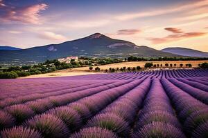 ai generativ. Provence Landschaft mit Lavendel Felder. foto
