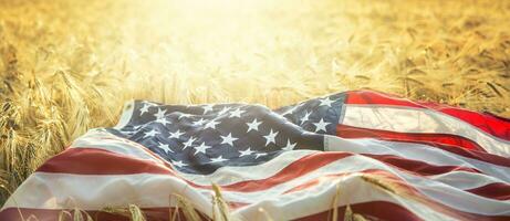 amerikanisch Flagge Lügen auf das golden Weizen Feld foto