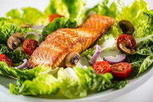 geröstet Lachs Filet mit frisch Gemüse Salat auf Weiß Teller foto