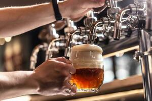 tippen ein Hälfte dunkel und Hälfte Licht Bier in ein Becher durch ein Barmann foto