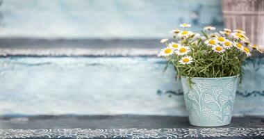 ein Blau Eimer oder Blumentopf voll von schön und aromatisch Sommer- Blumen foto