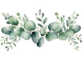 Aquarell Eukalyptus Blätter Rand isoliert. foto