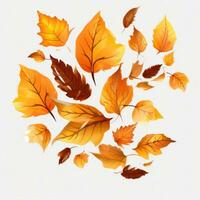 Herbst fallen Blätter isoliert foto