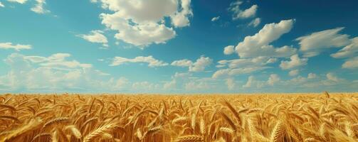 Panorama- Aussicht mit ein Weizen Feld - - ai generativ foto