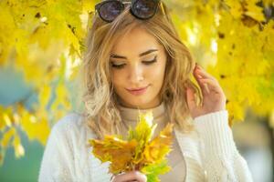 Herrlich jung Frau sieht aus Nieder beim Gelb Herbst Blätter im ihr Hände Stehen unter das Ampel Baum foto