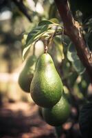 ein Ast von Avocado auf Baum. ai generativ Kunst foto