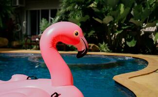 Sommer- Ferien Spaß komisch Rosa Flamingo schweben im ein Schwimmen Schwimmbad modisch Sommer- Konzept foto