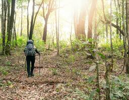 Abenteuer Wandern auf Berg beim Wald foto