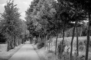 Sommerzeit in Westfalen foto