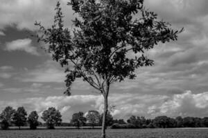 Sommerzeit in Westfalen foto