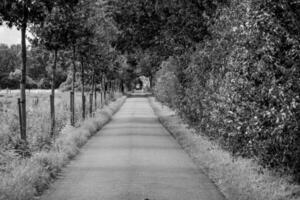 Sommer- Zeit im das Deutschland Westfalen foto