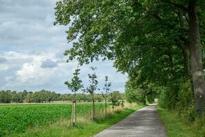 spät Sommer- im Westfalen foto