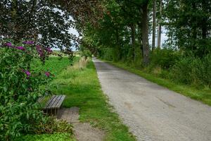 spät Sommer- im Westfalen foto